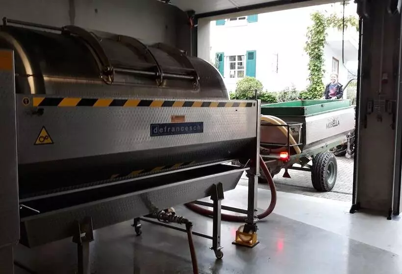 Majatalo Weingut & Gastehaus Kaufmannschneider