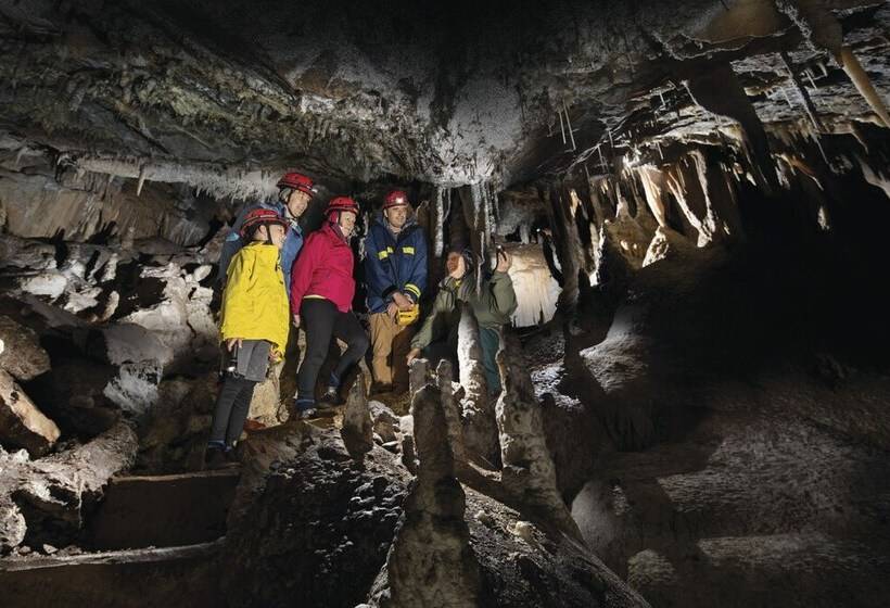 膳宿费 Yarrangobilly Caves House