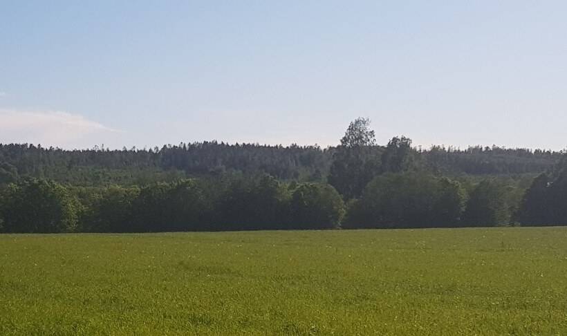 تختخواب و صبحانه Nygården Bed&breakfast