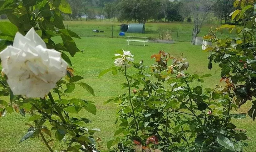 Hay Point Country B&b