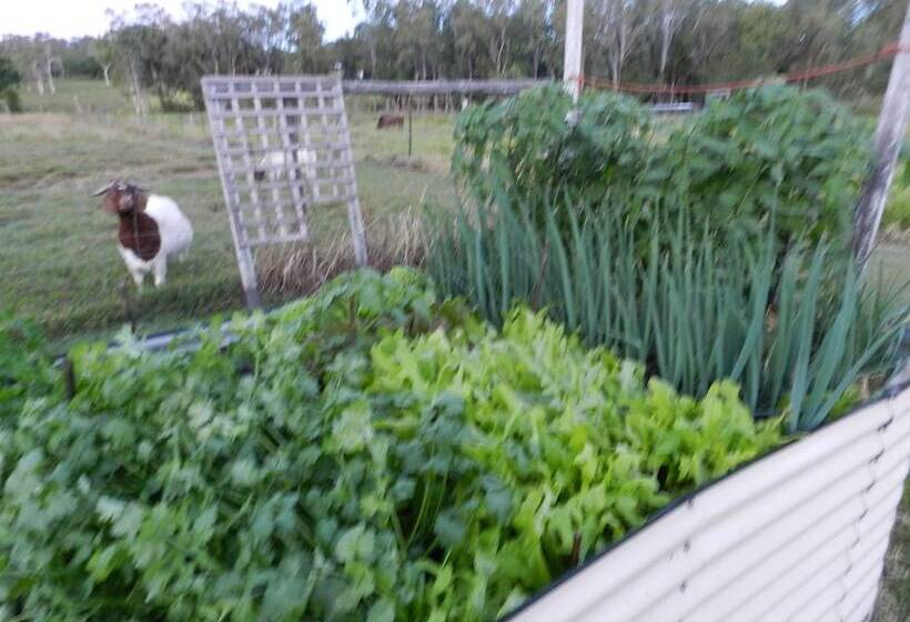 Hay Point Country B&b