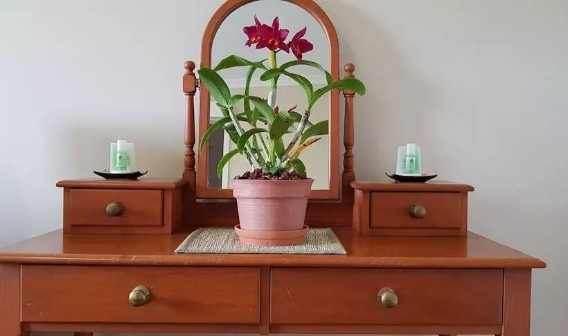 Hay Point Country B&b