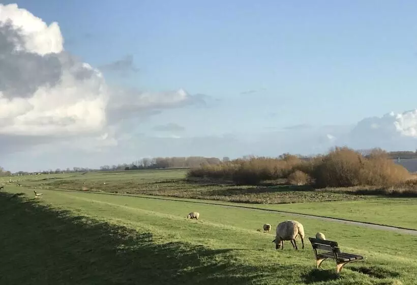 ホテル Apartment Panorama 1 Near Airport