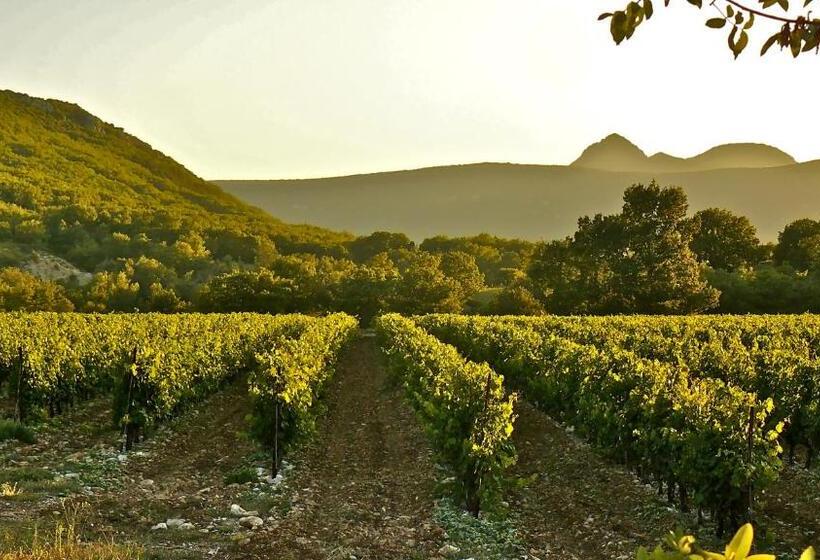 בית מלון כפרי Domaine De Blancardy