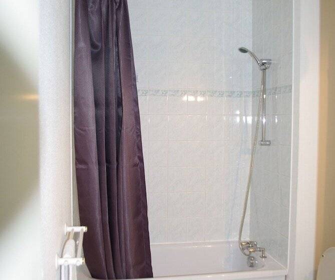 Отель Hôtel Des Voyageurs