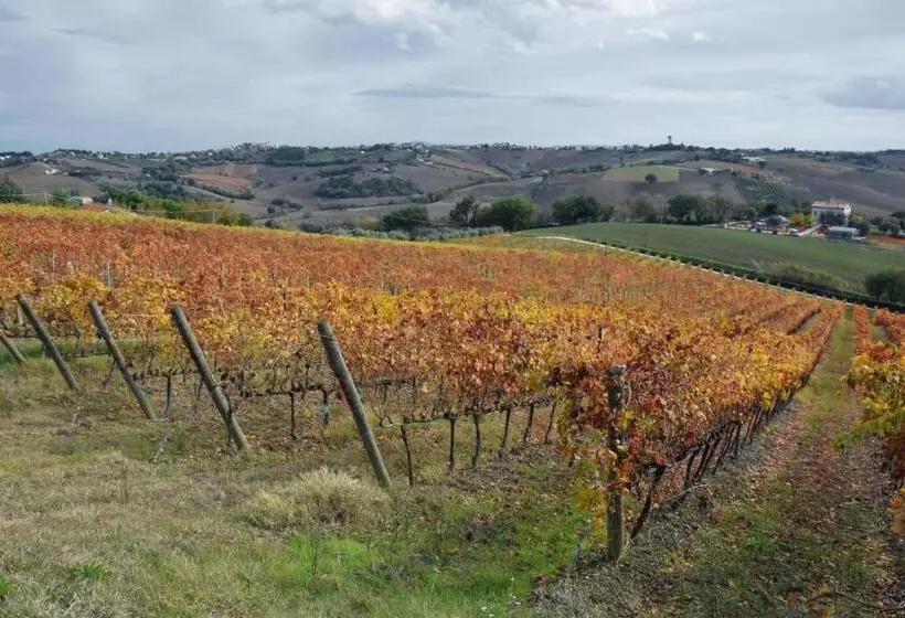 田舎風ホテル Agriturismo Al Rifugio Divino
