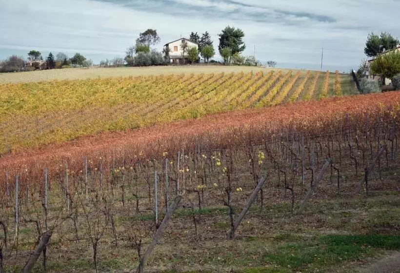 田舎風ホテル Agriturismo Al Rifugio Divino