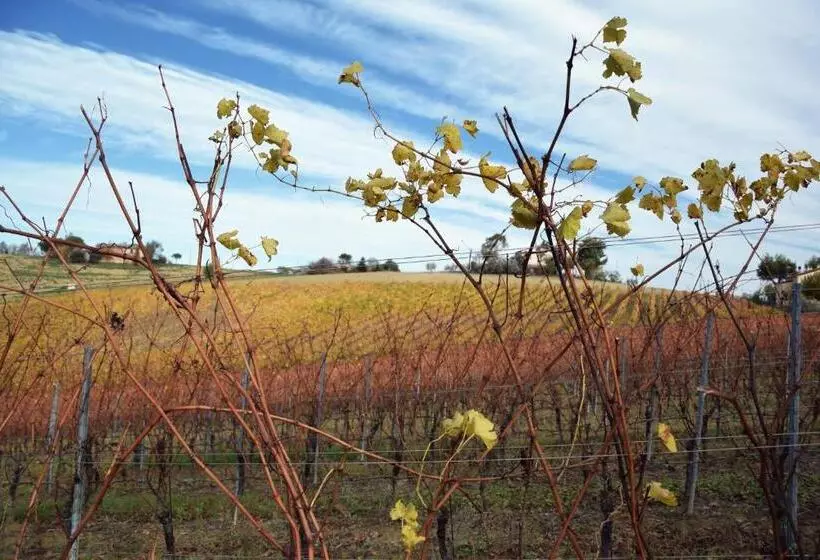 田舎風ホテル Agriturismo Al Rifugio Divino
