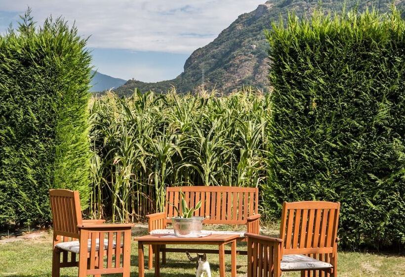 Сельский отель Agriturismo Lou Rosé