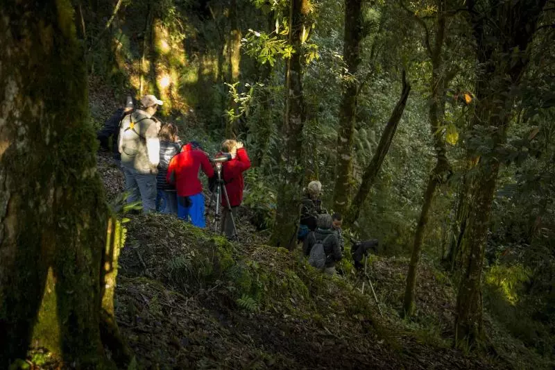 ホテル Toucanet Lodge