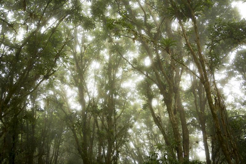 酒店 Toucanet Lodge