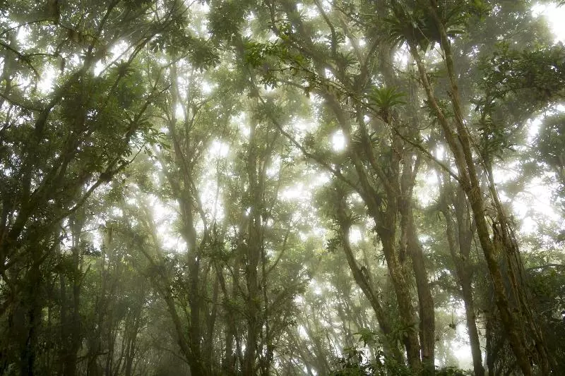 ホテル Toucanet Lodge