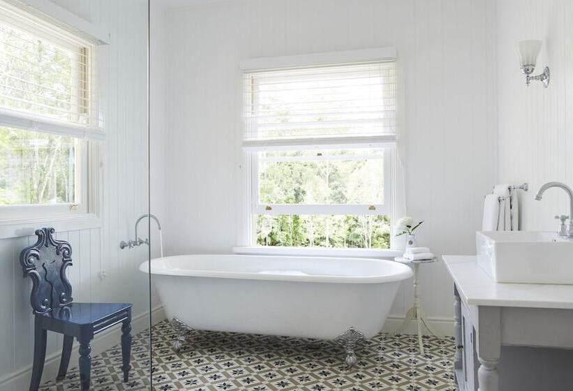 Nightcap Ridge Byron Bay Hinterland