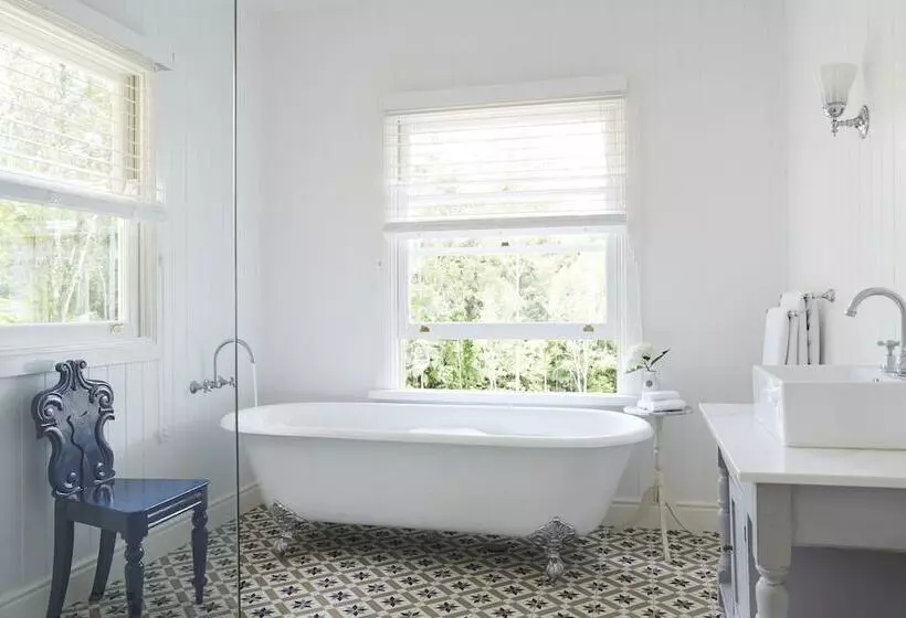 Nightcap Ridge   Byron Bay Hinterland