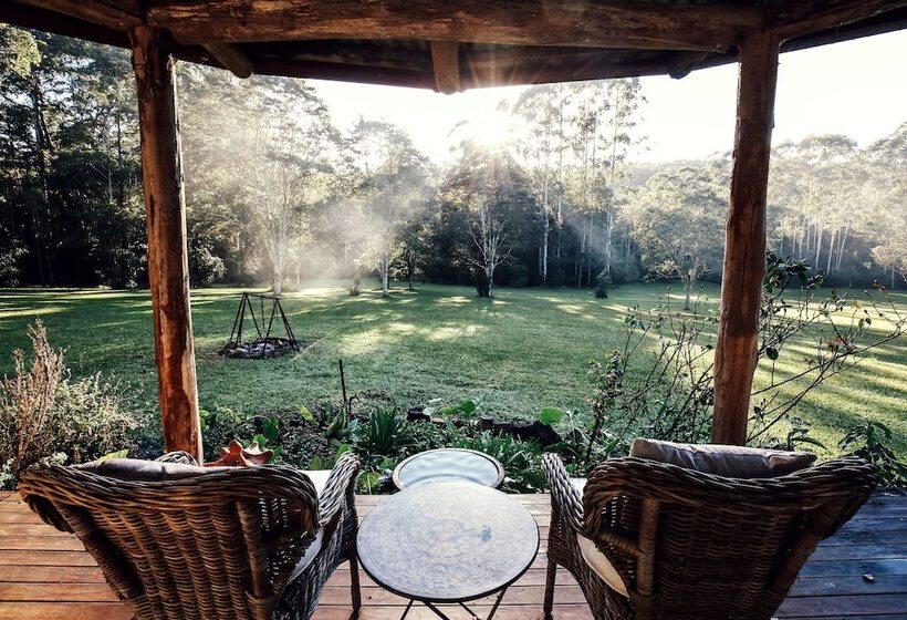 Nightcap Ridge Byron Bay Hinterland