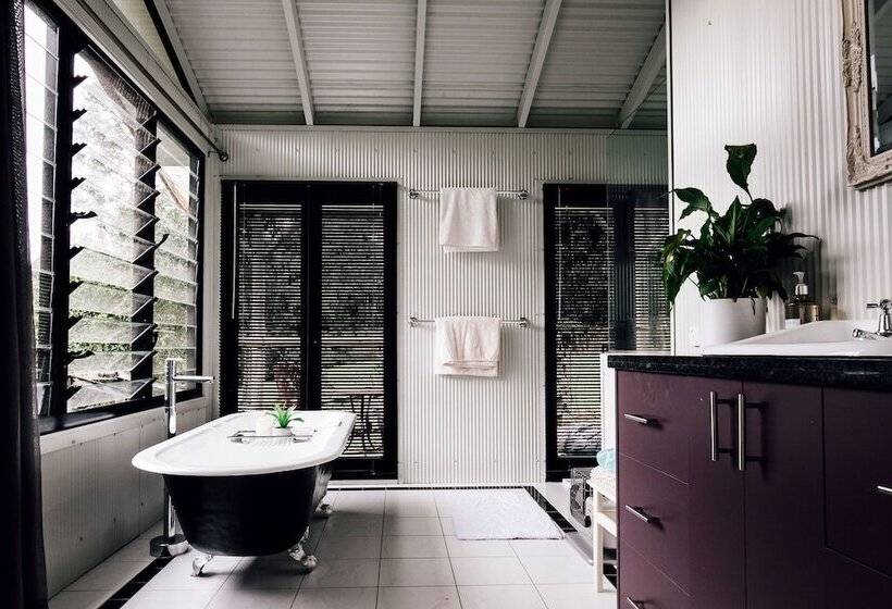 Nightcap Ridge Byron Bay Hinterland