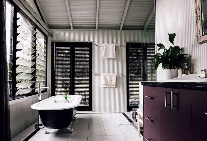 Nightcap Ridge   Byron Bay Hinterland