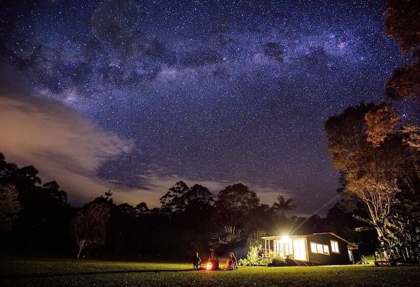 Nightcap Ridge Byron Bay Hinterland