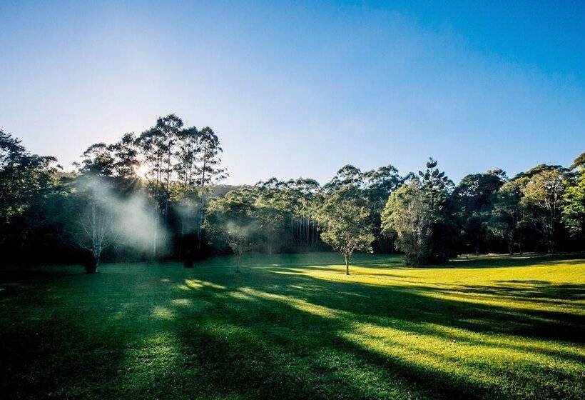 Nightcap Ridge Byron Bay Hinterland