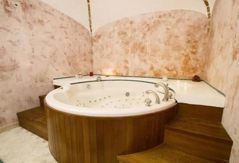 פנסיון Château Saint Louis