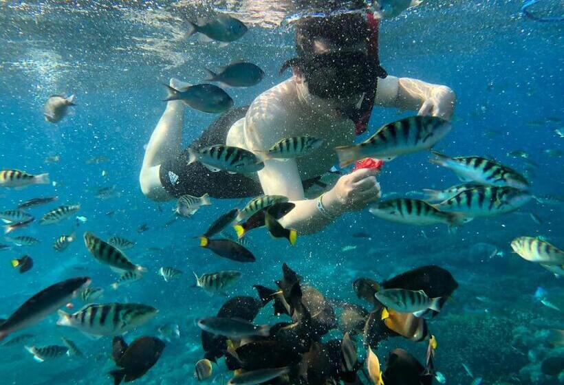 پانسیون Jiva Bungalow