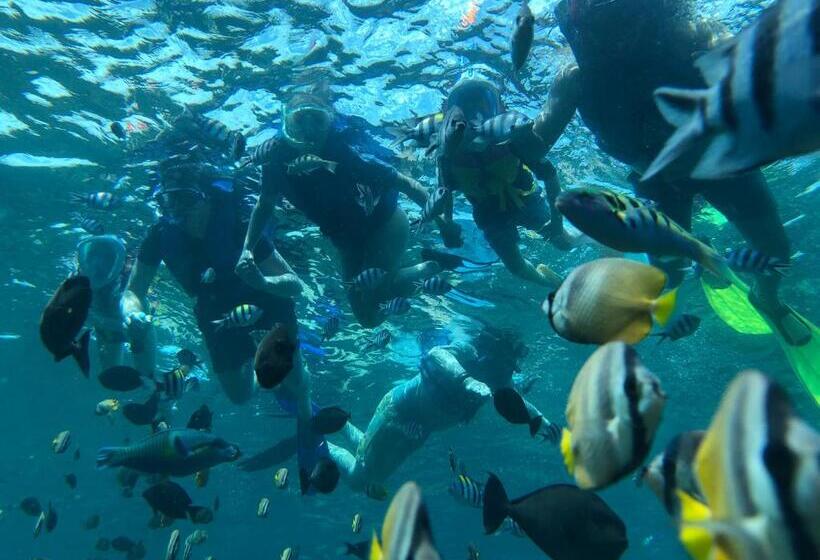 پانسیون Jiva Bungalow