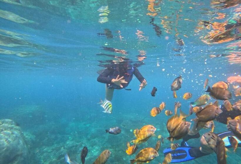 پانسیون Jiva Bungalow