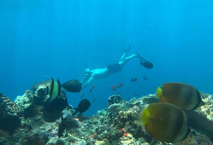 پانسیون Jiva Bungalow