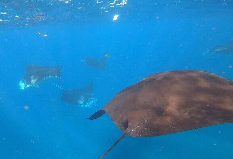 پانسیون Jiva Bungalow