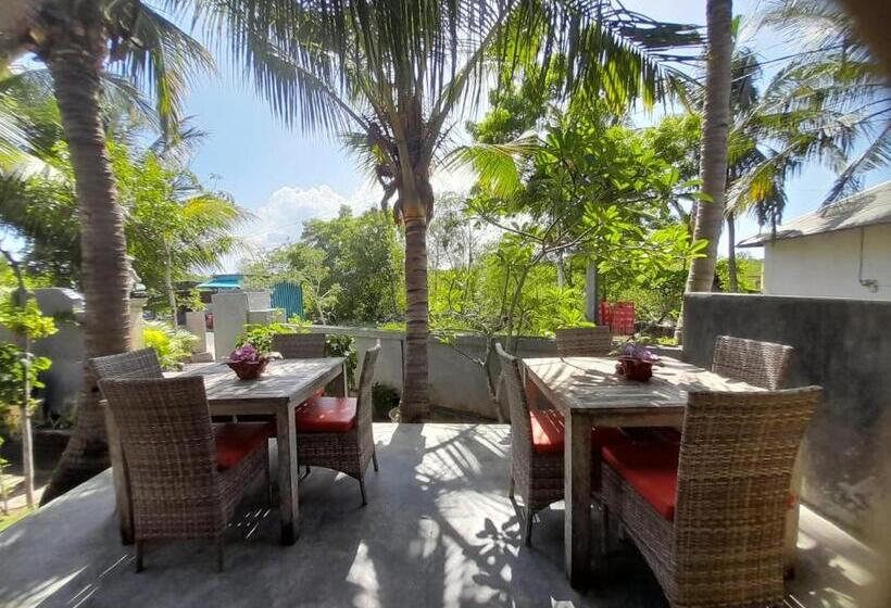 پانسیون Jiva Bungalow