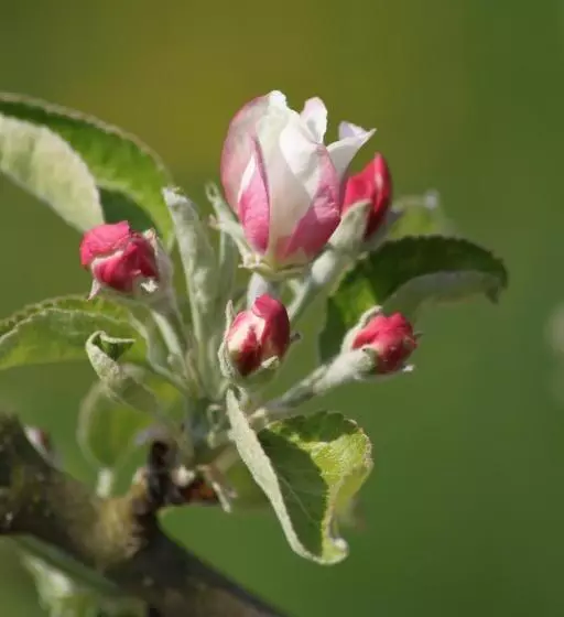ペンション La Bastide Du Roy