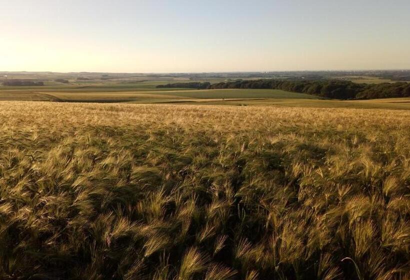 ペンション Maison D Hôte La Ferme Du Grand Air