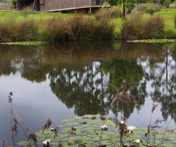 Tyenna River Cottage