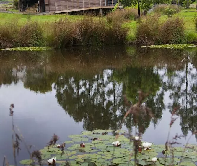 Tyenna River Cottage