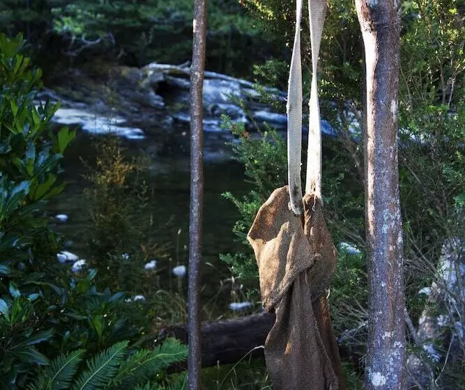 Tyenna River Cottage