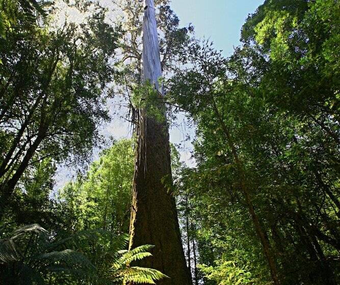 Tyenna River Cottage