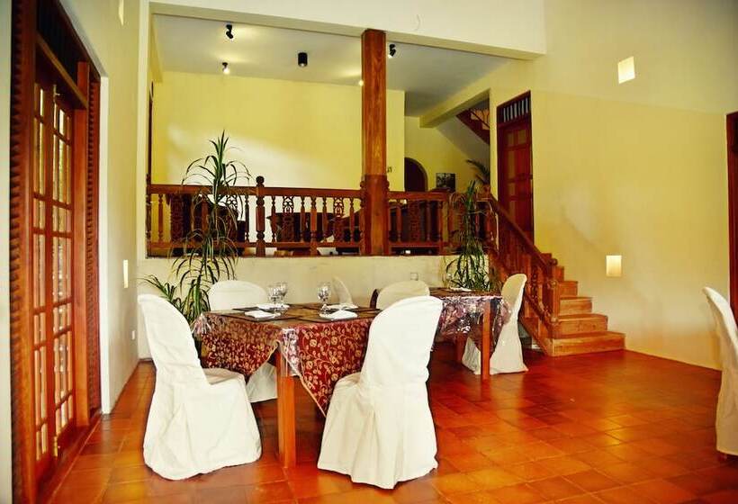 بنسيون Green Palm Villa