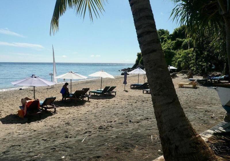 酒店 Vienna Beach Resort