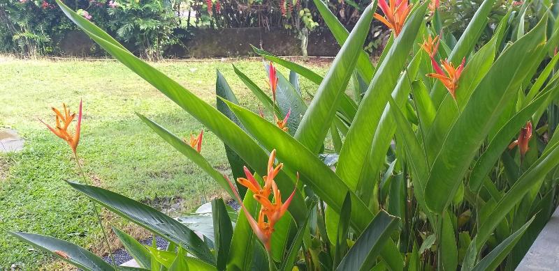 Intan Hotel Purwakarta