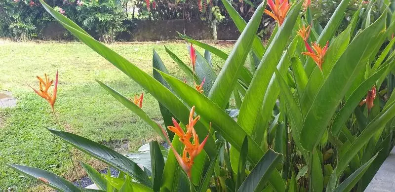 Intan Hotel Purwakarta