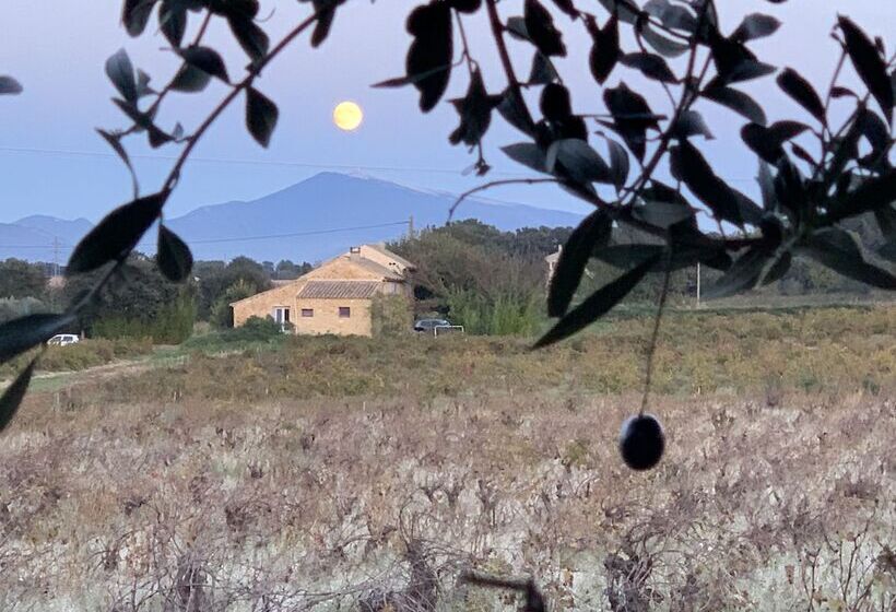 پانسیون Chambres D Hôtes Et Gîtes Le Mas Mellou