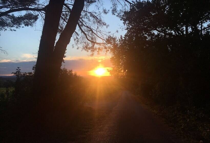 پانسیون Chambres D Hôtes Et Gîtes Le Mas Mellou