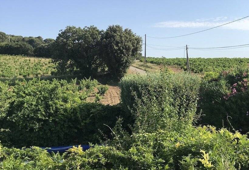 پانسیون Chambres D Hôtes Et Gîtes Le Mas Mellou