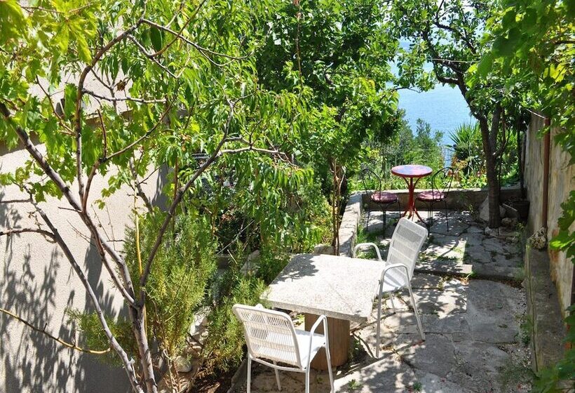 פנסיון Guest House Palm Street