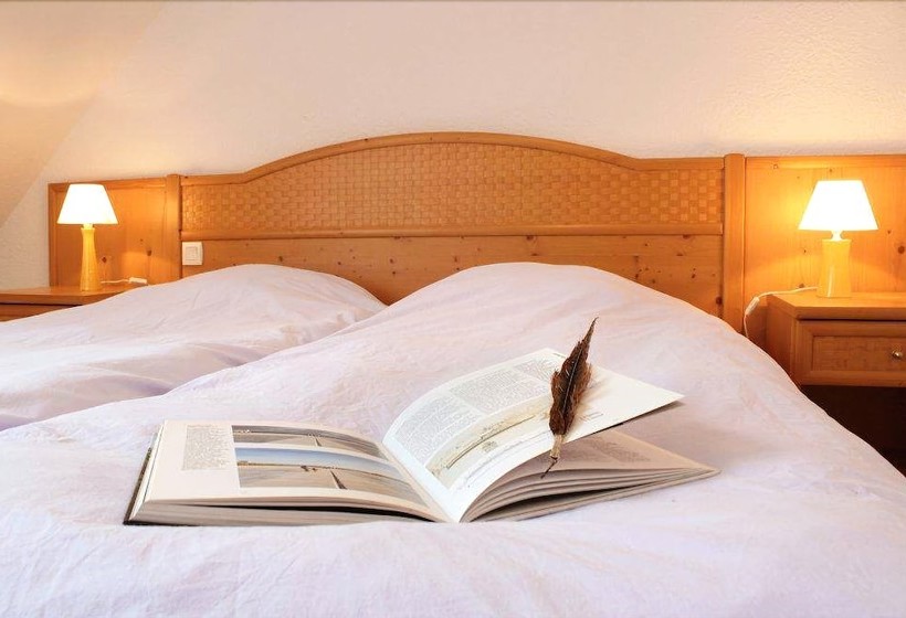 Rhodogîtes Du Goëlo Callune