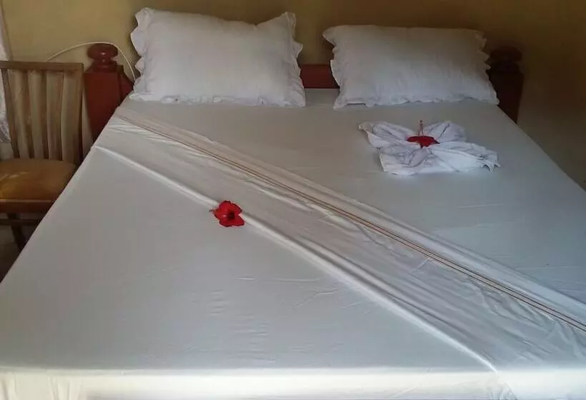 ベッドアンドブレックファースト Ukerewe Garden View Bungalow At Bwiru Village Homestay