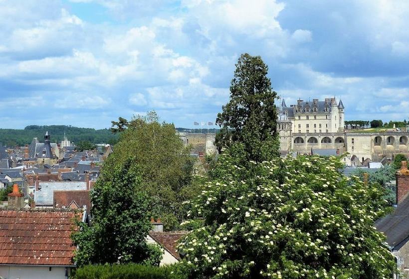 Gîte 9 Pers Centre Ville Jardin Et Parking Clos, Superbe Vue
