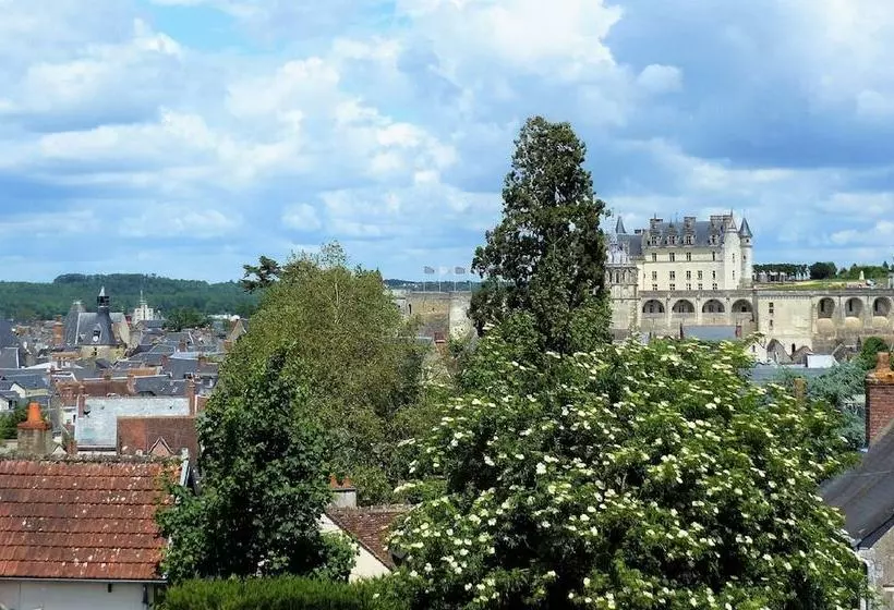 Gîte 9 Pers Centre Ville Jardin Et Parking Clos, Superbe Vue
