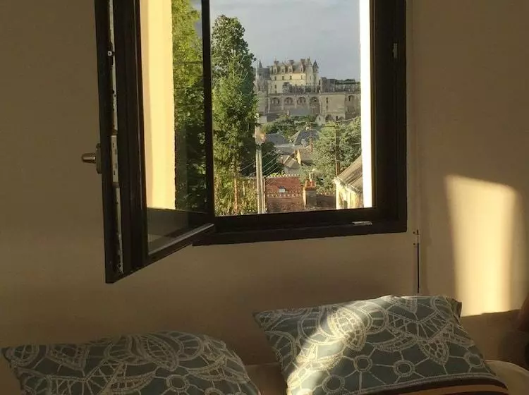 Gîte 9 Pers Centre Ville Jardin Et Parking Clos, Superbe Vue