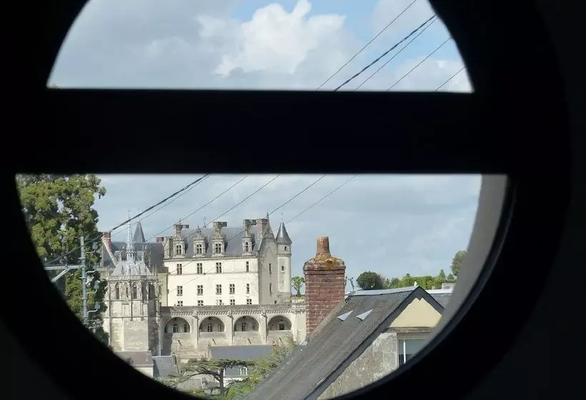 Gîte 9 Pers Centre Ville Jardin Et Parking Clos, Superbe Vue